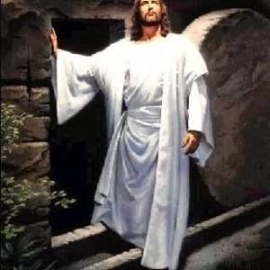 Meet your Posher, Sole